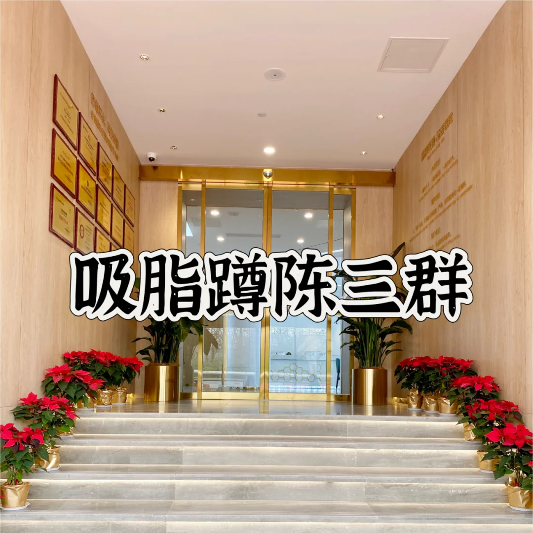 想去吸脂了