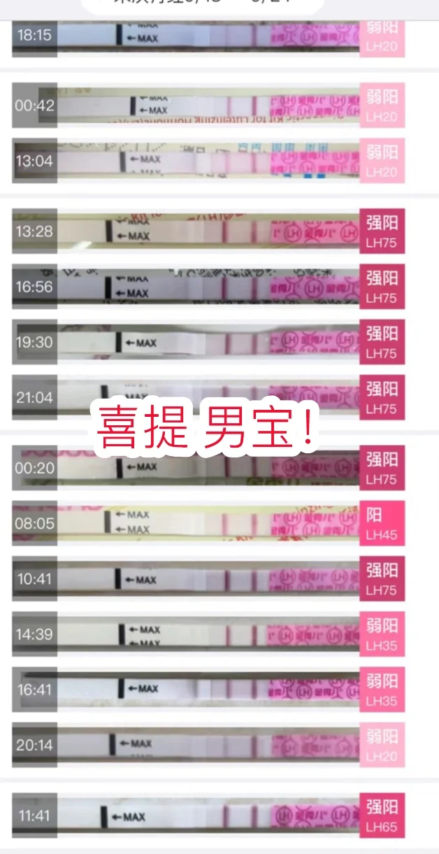专业代孕咨询机构,成功上岸～喜提蓝色皮夹克