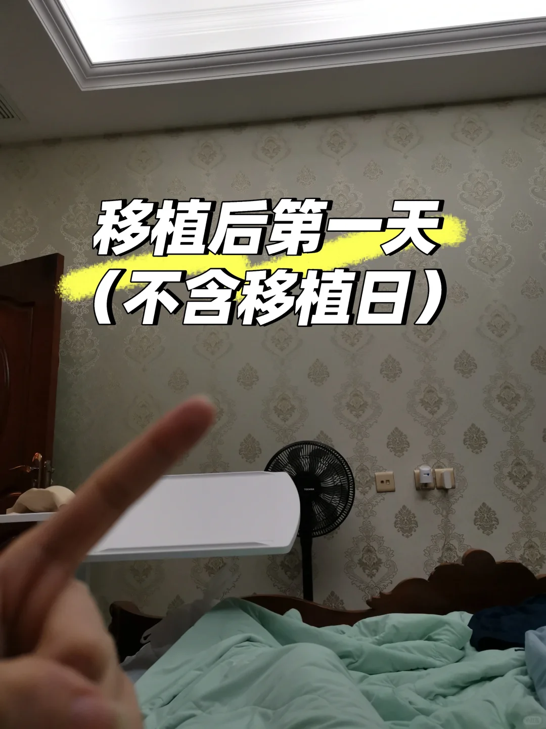 移植第一天